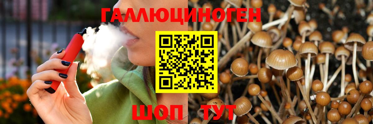 Лосино-Петровский  Псилоцибиновые грибы Magic Shrooms  купить наркотики цена  Вход с VPN 